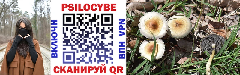 как найти   Пыталово  Псилоцибиновые грибы мухоморы 